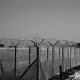 Dario Ferro Copyright - 02Robben Island